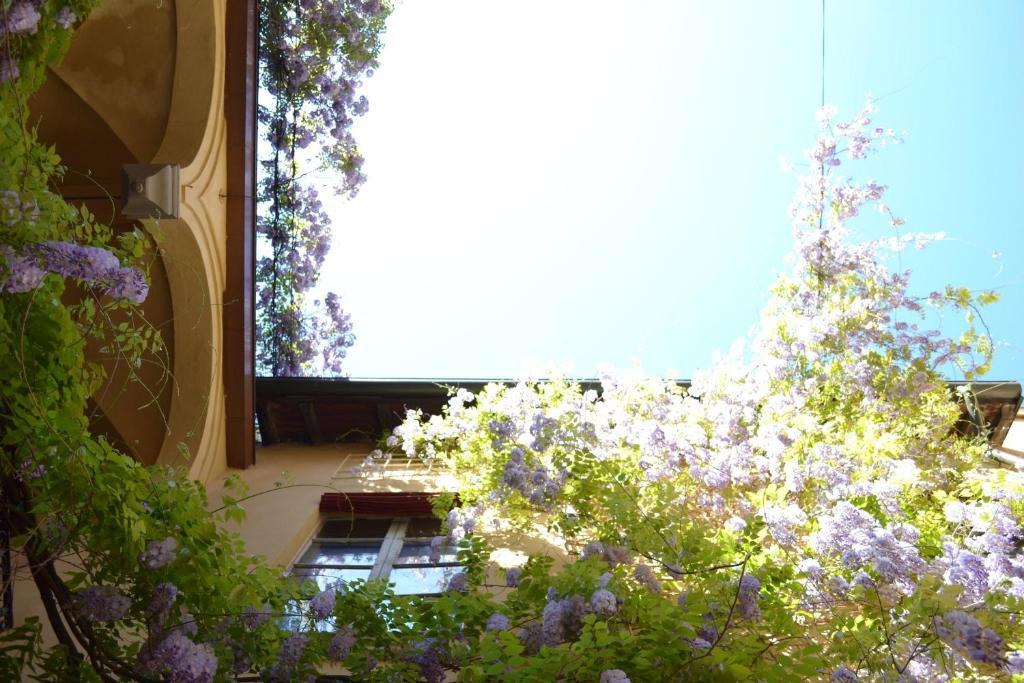 Palazzo Dalla Rosa Prati Πάρμα Εξωτερικό φωτογραφία